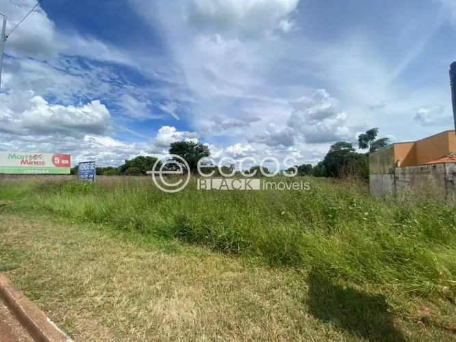 Terreno à venda, Chácaras Vila Real - UBERABA/MG