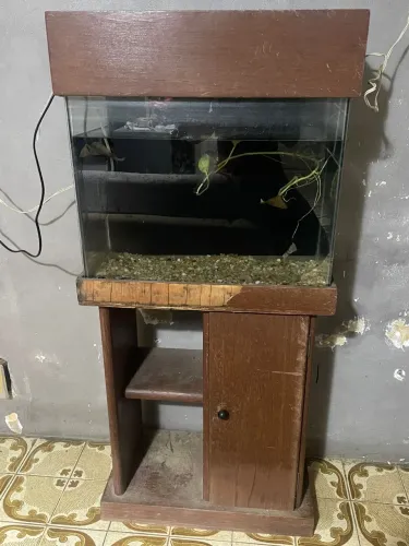 Aquário 