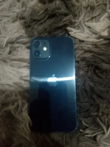 IPhone 12 mini petropolis