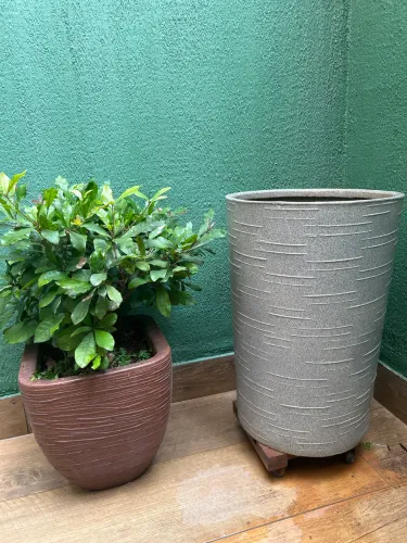 2 vasos - um com fruta do milagre e um vaso com terra