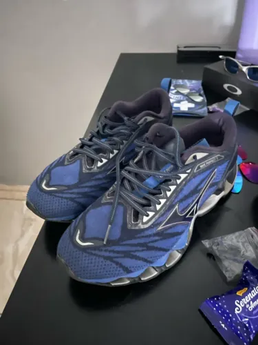 Mizuno prophecy 11