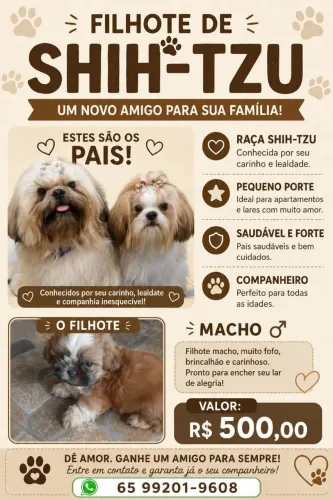 Animais de estimação 