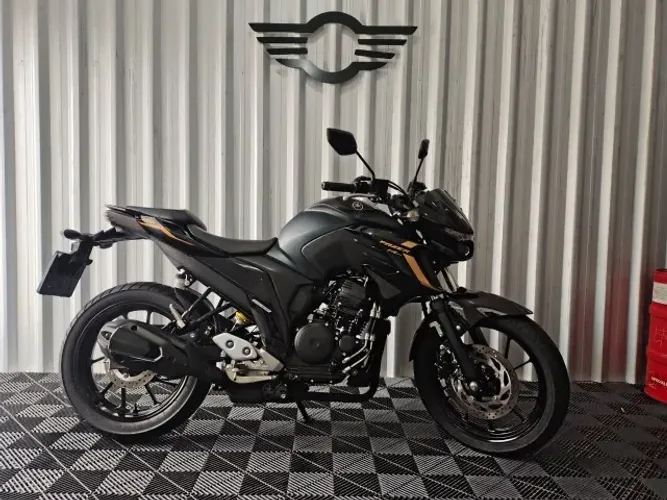 FZ 25 APENAS 8MIK KM