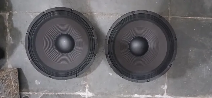 Par de woofers cone seco 250w