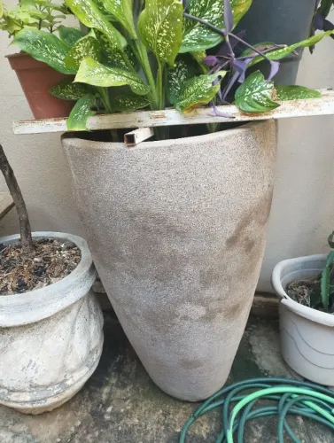 Vaso de Cimento cheio de terra preta
