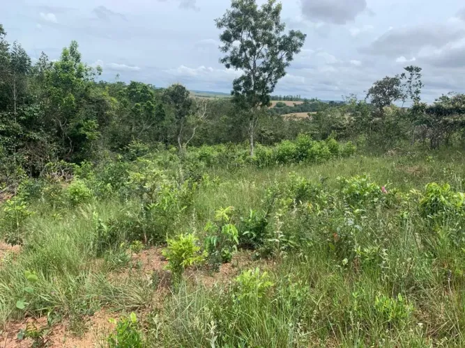 CHÁCARA COM 2.800M² EM SILVÂNIA COM ÁGUA NO LOCAL