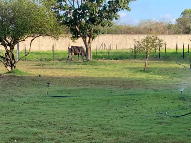 EXCELENTE CHÁCARA ,100x170 (1,17 ectares). EXTREMOZ. VALIR: 488,00.00