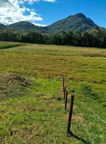 Imóvel para venda com 36000 metros quadrados em Vargem do Braco - Santo Amaro da Imperatri