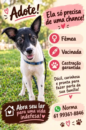 Doação Cachorro