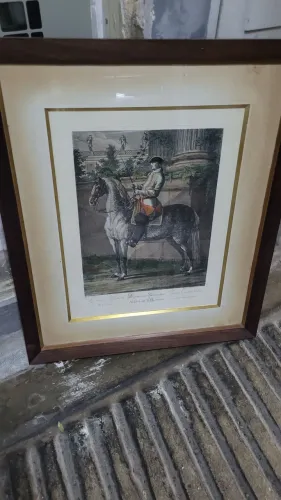 Gravura pintura quadro antiga cavalo empinando