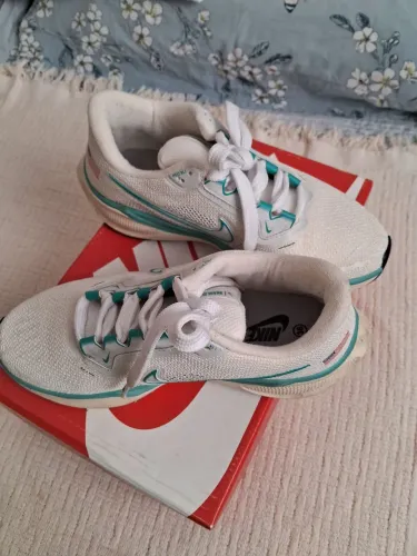 Tênis Nike Pegasus41 