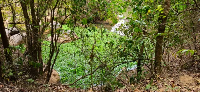Terreno com casa iniciada