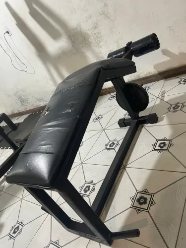 Mesa Flexora