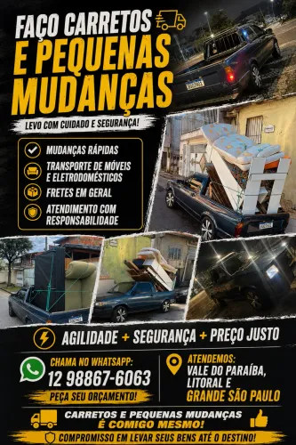 Fretes Carretos Mudanças