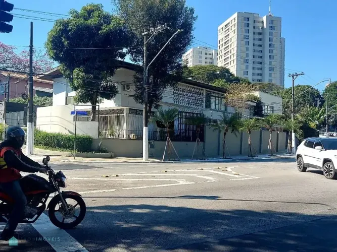 PERDIZES MARAVILHOSA!!