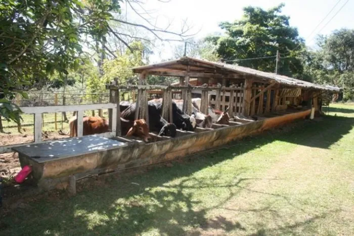 Linda Fazendinha de 14,5 hectares, Jaboticatubas (Temos varias opções).