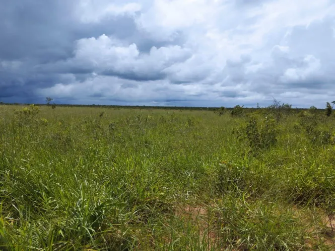 Fazenda 8500 hect em tangará da serra MT. Terra Serrado, 5 mil da plantio 80 milhões.