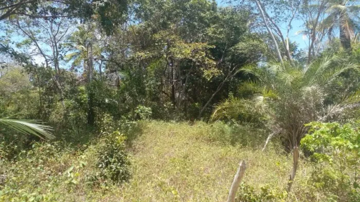 Venda - lotes - Coqueiros de Arembepe!!!