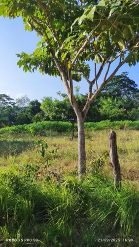 Vendo terreno próximo a Salinas