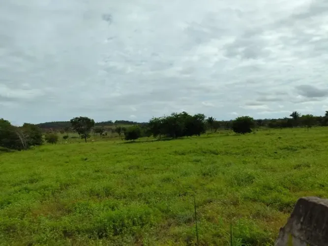 Fazenda no municipio de Coroatá do Maranhão