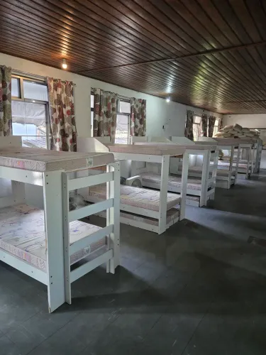 Beliches de madeira para hostel com colchoes