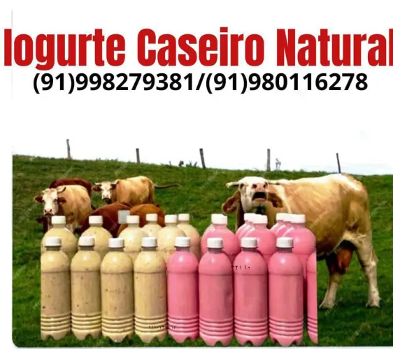 iogurte Caseiro Natural - Delicioso e Fresco!