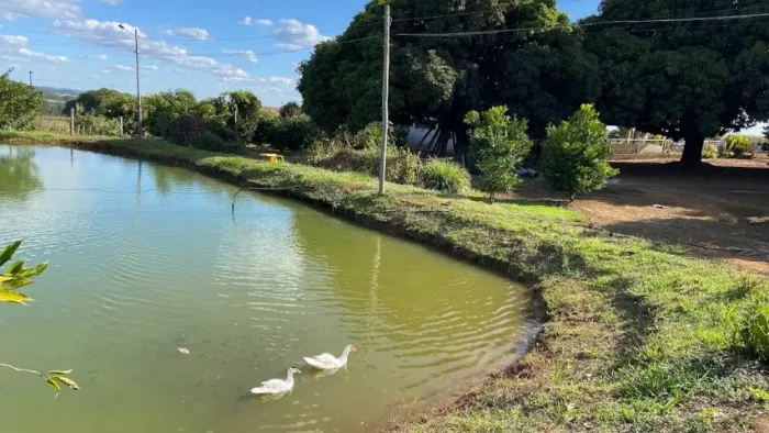 Chácara 2 alqueires próxima a Anápolis 200m do asfalto Rica em Água!