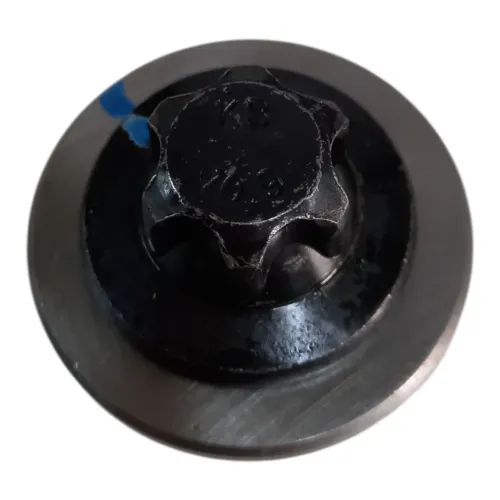 Parafuso Do Virabrequim Bmw F850 Gs 2021/2022 Original 