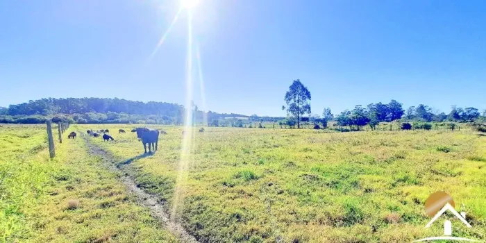 Sítio com açude em águas claras-viamão