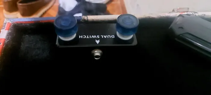 Footswitch dual