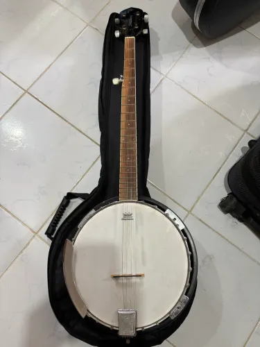 Banjo strinberg wb-50 5 cordas