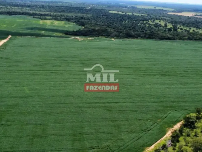 Fazenda 1.260 alqueires (6.098 hectares) Pedro Afonso - To