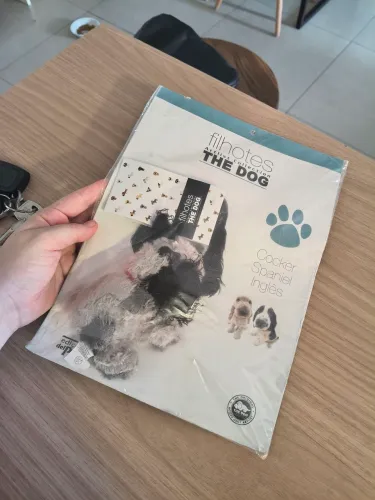 Pelúcia the dog - del prado