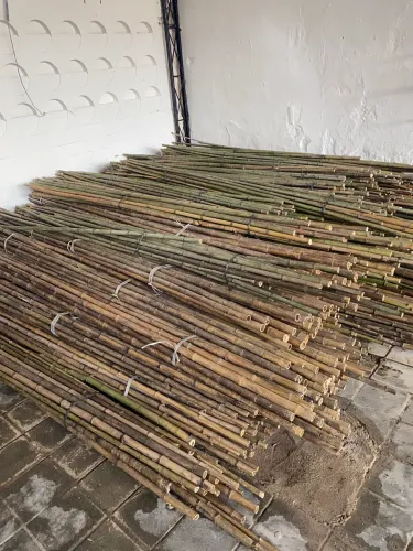 Vara Bambu para Bandeiras
