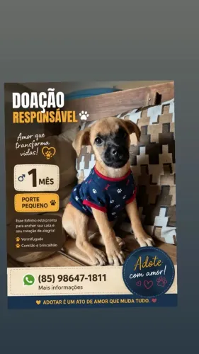Doação responsável