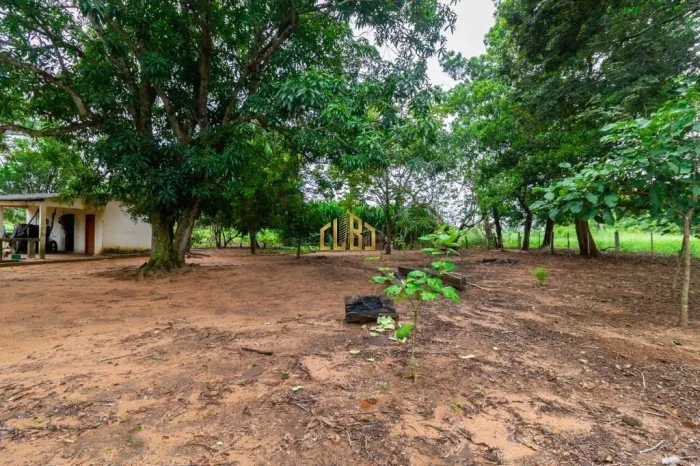 FAZENDA Á VENDA EM POXORÉU - MT