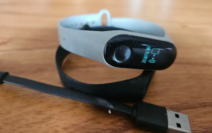 Amazfit fip bip
