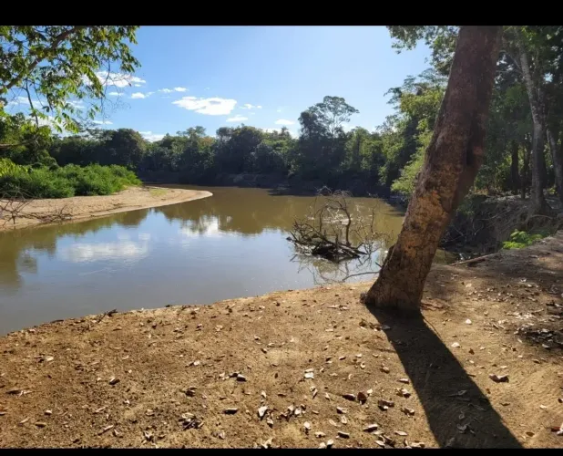 Vende-se uma excelente fazenda de 10 alqueires