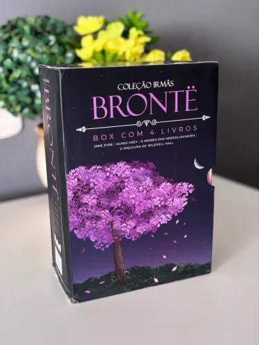 Box 4 livros da coleção irmãs Bronte