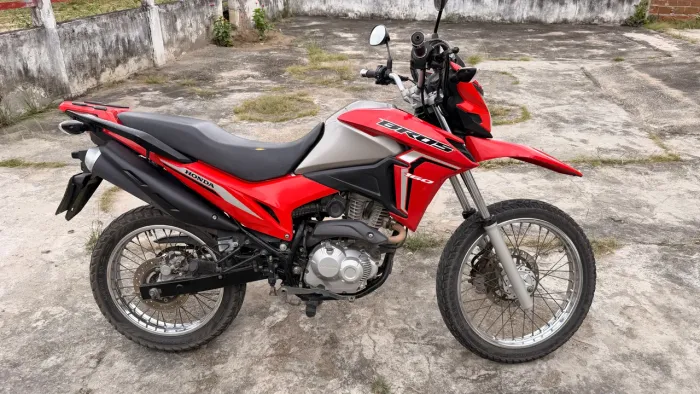 Vendo bros 2023