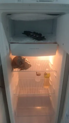 Geladeira Electrolux 110v