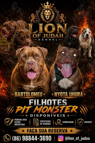 Pit Monster 