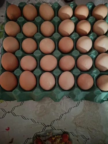Ovos caipira galados 15 a dúzia