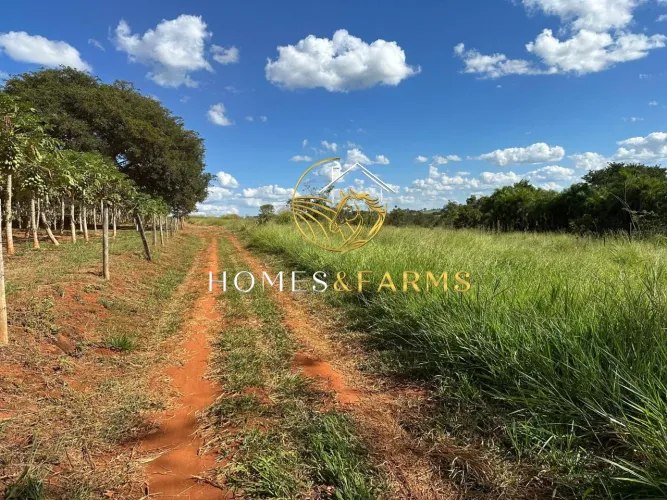 Chácara à venda em Bela Vista de Goiás 2,25 alqueires com córrego