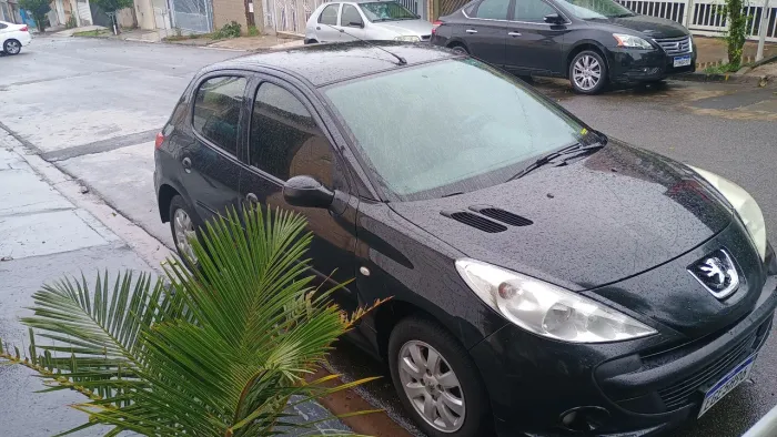 Peugeot 207 XR Sport 1.4 Flex 8V 5P 2010