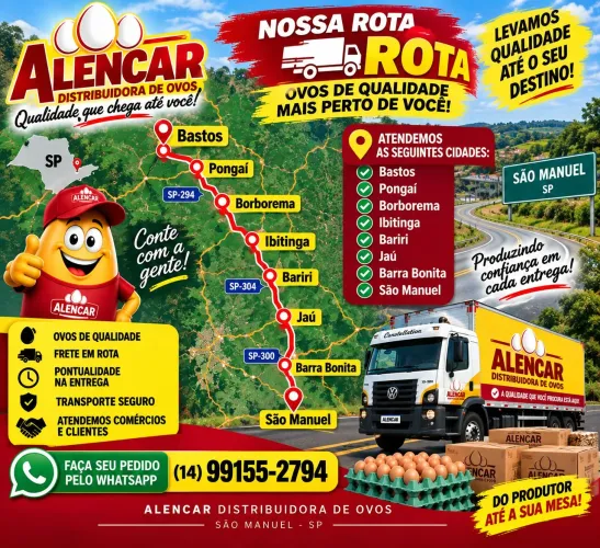 Alencar distribuidora de ovos