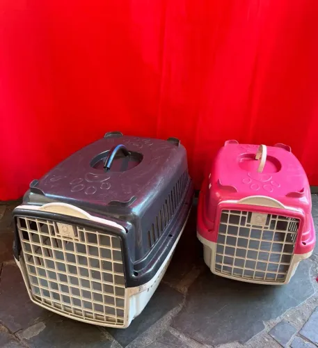 Caixas de transporte pet shop 