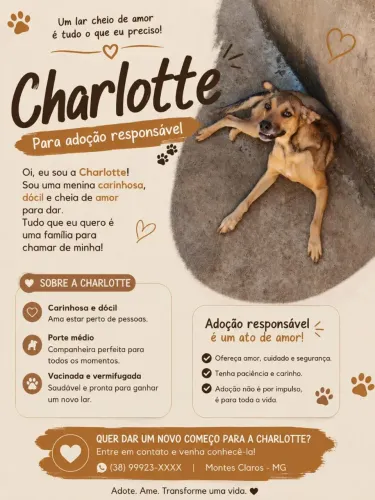 Doação.