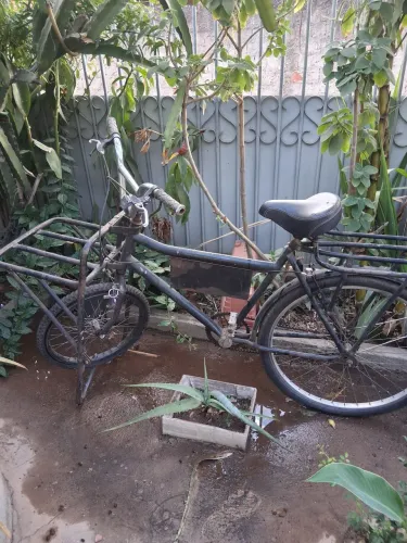 Bicicleta cargueira