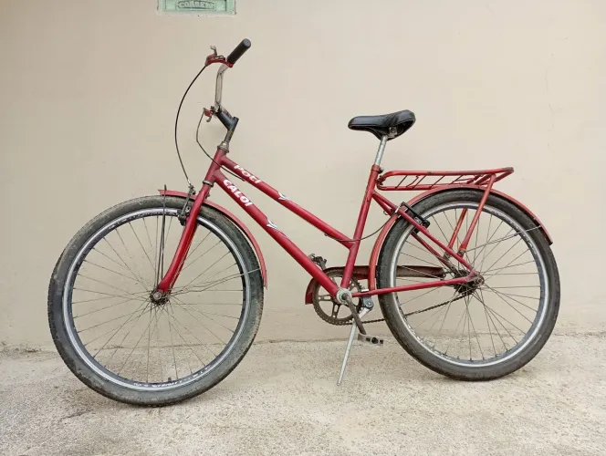 Bicicleta poti Original 
